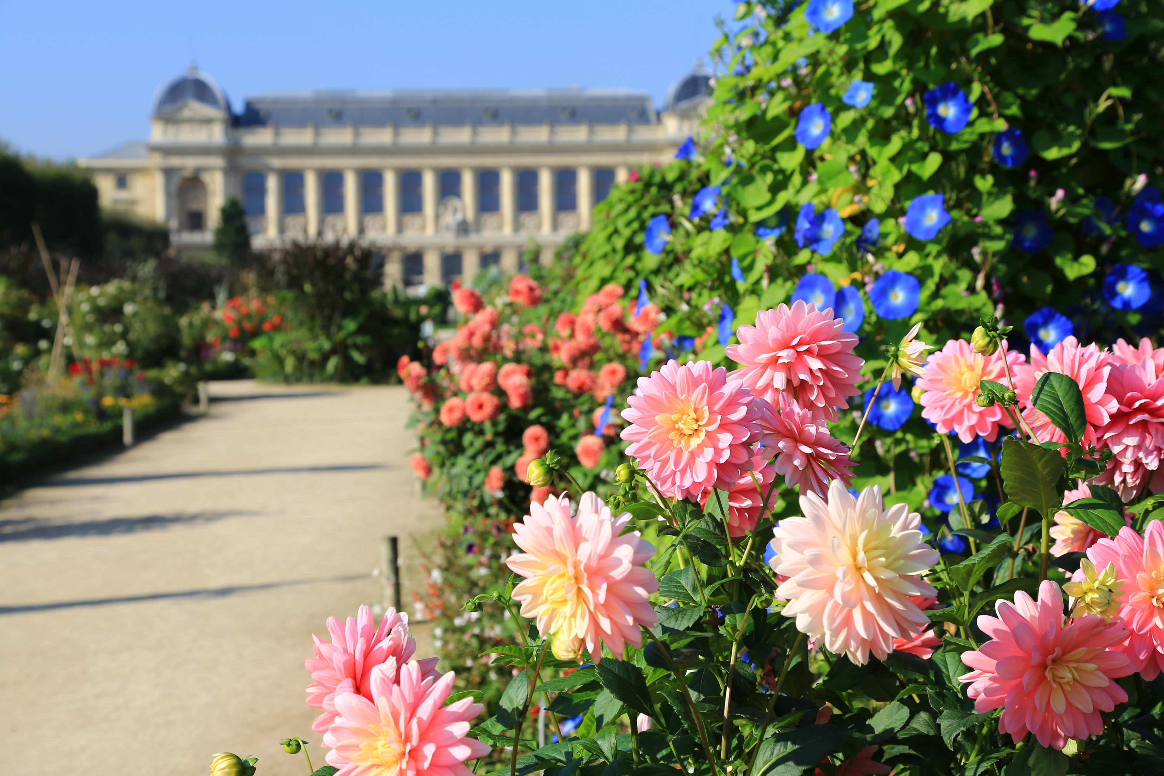 Jardin des Plantes, Paris