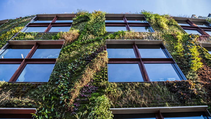 Garden wall at the Musée Quai Branly in Paris