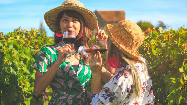 Two women sipping wine in a vineyard on a sunny day.