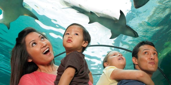 新泽西海洋生物水族馆