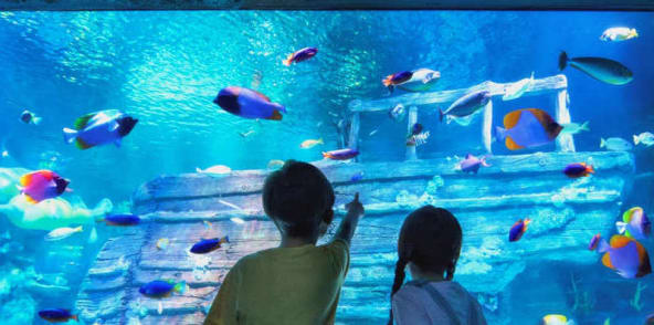 马来西亚乐高主题海洋公园