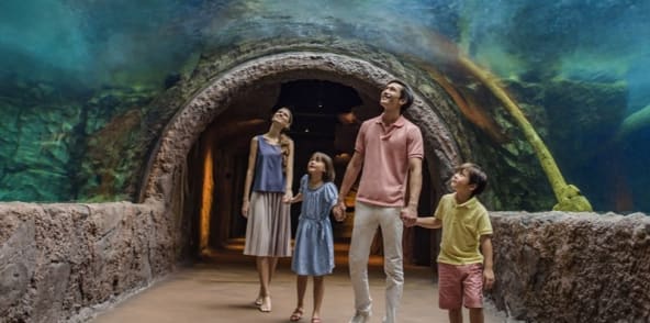 新加坡河川生态园｜万态野生动物世界