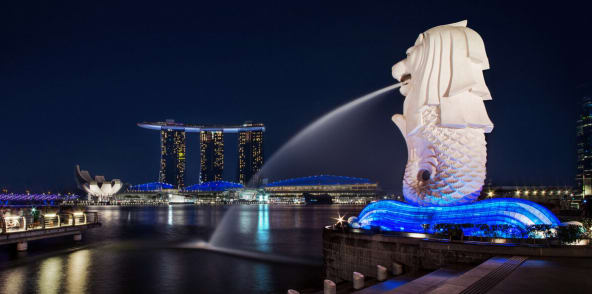 滨海湾夜间徒步之旅