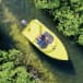 Jungle Tour Speed Boat