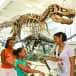 American Museum of Natural History tickets discount | New York Explorer Pass