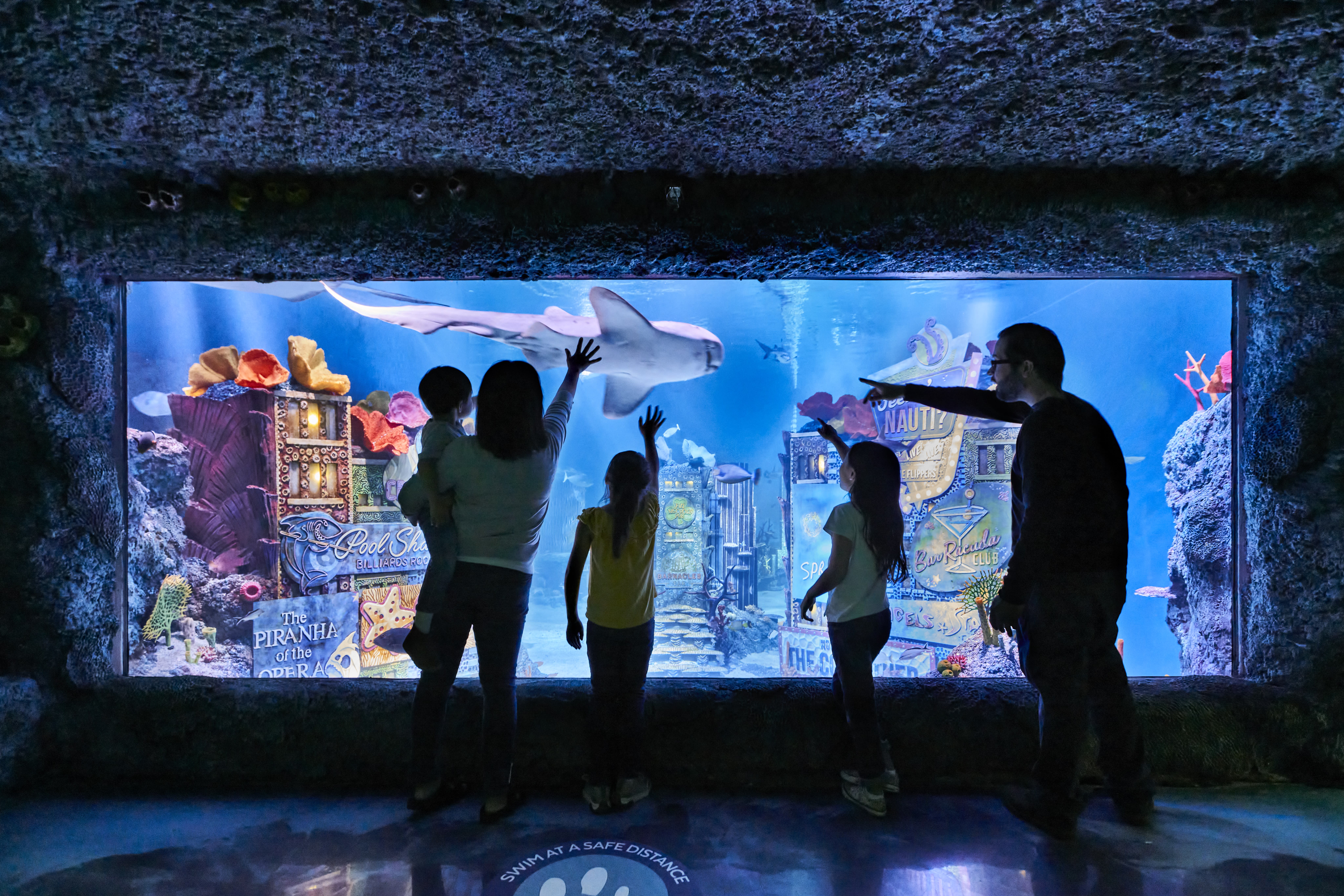 SEA LIFE Aquarium NJ Tickets - Free w/ New York Pass®