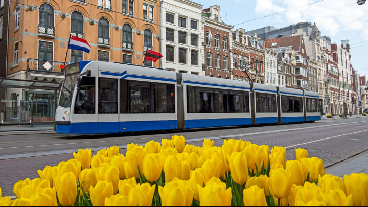 Image of City, Metropolis, Urban, Cable Car, Streetcar, Vehicle, Flower, Person, Railway, Train, Neighborhood, 