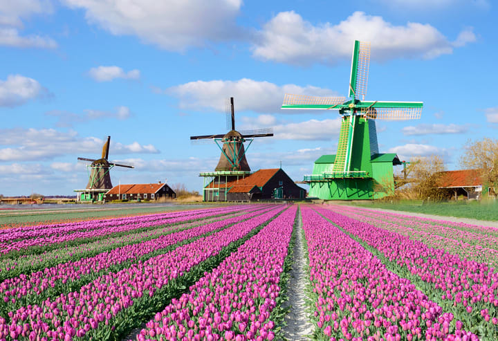 Image of Outdoors, Windmill, 