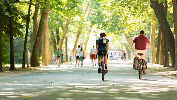 Image of Person, Walking, Adult, Male, Man, Vegetation, Path, Bicycle, Cycling, Vehicle, Grass, Nature, Outdoors, Park, Tree, 