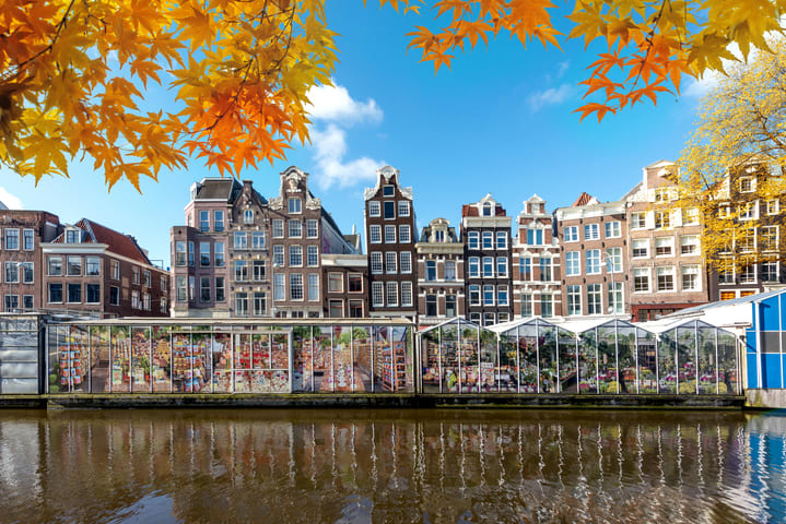 Image of Neighborhood, City, Water, Waterfront, Leaf, Urban, Nature, Outdoors, Scenery, Canal, Cityscape, Tree, Shelter, Metropolis, Person,