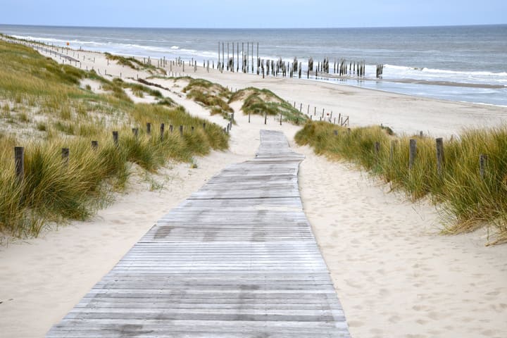 Image of Water, Waterfront, Boardwalk, Bridge, Pier, Path, 