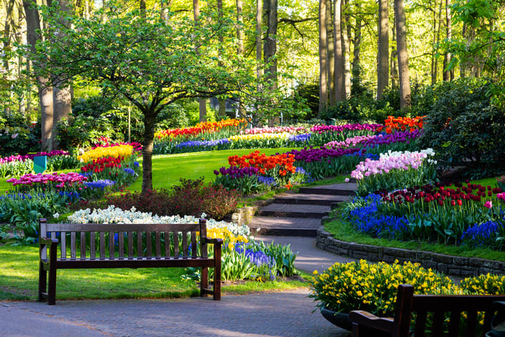 Image of Grass, Nature, Outdoors, Park, Plant, Garden, Bench, Furniture, Flower, Vegetation, Tree,
