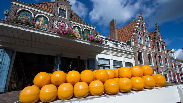 Image of Sphere, Food, Plant, Produce, Pumpkin, Citrus Fruit, Fruit, Grapefruit, Neighborhood, 