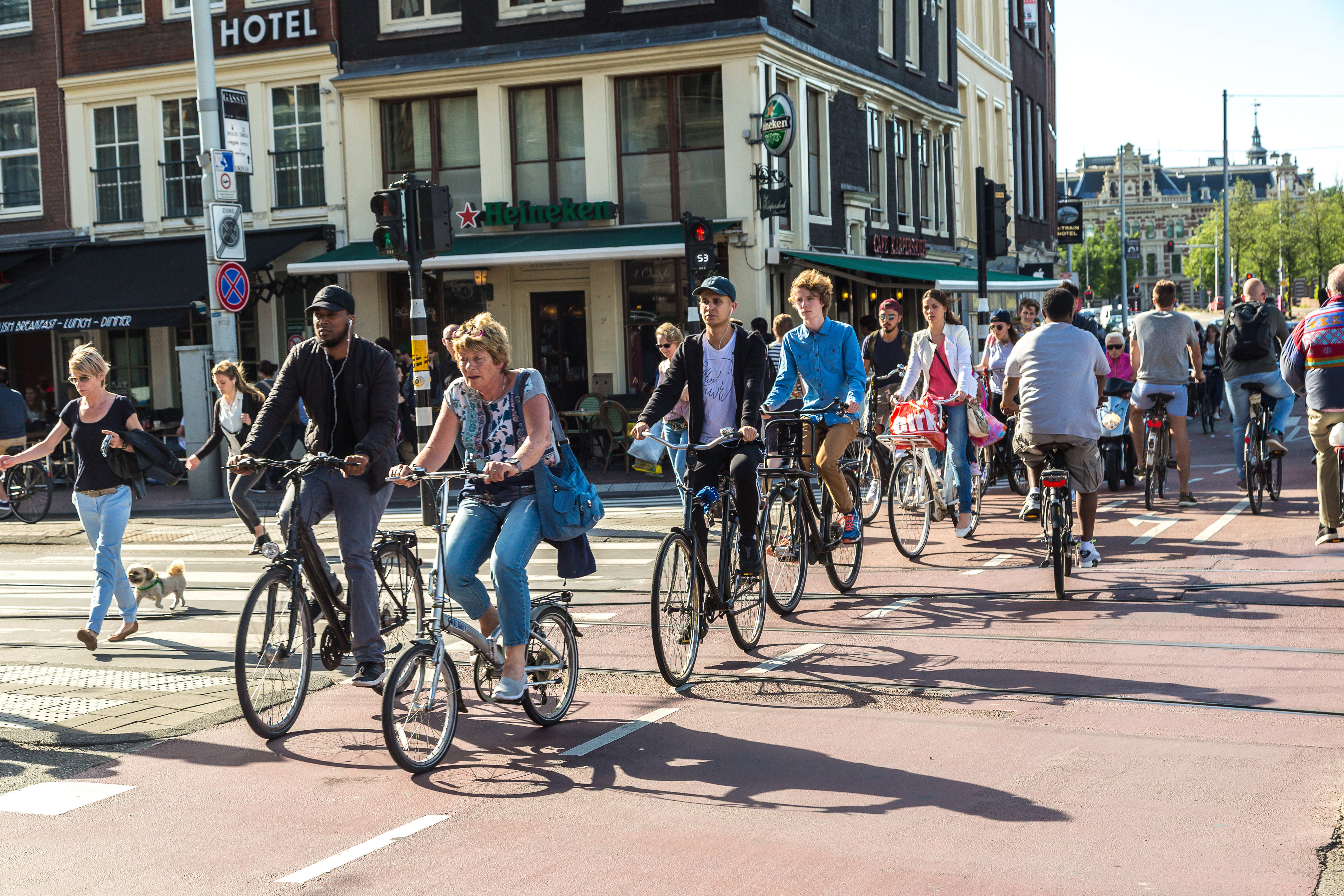 Image of Handbag, Female, Girl, Person, Teen, Adult, Male, Man, Woman, Bicycle, Vehicle, Chair, People, Road, Cycling, Dog, Traffic Light, Backpack, 