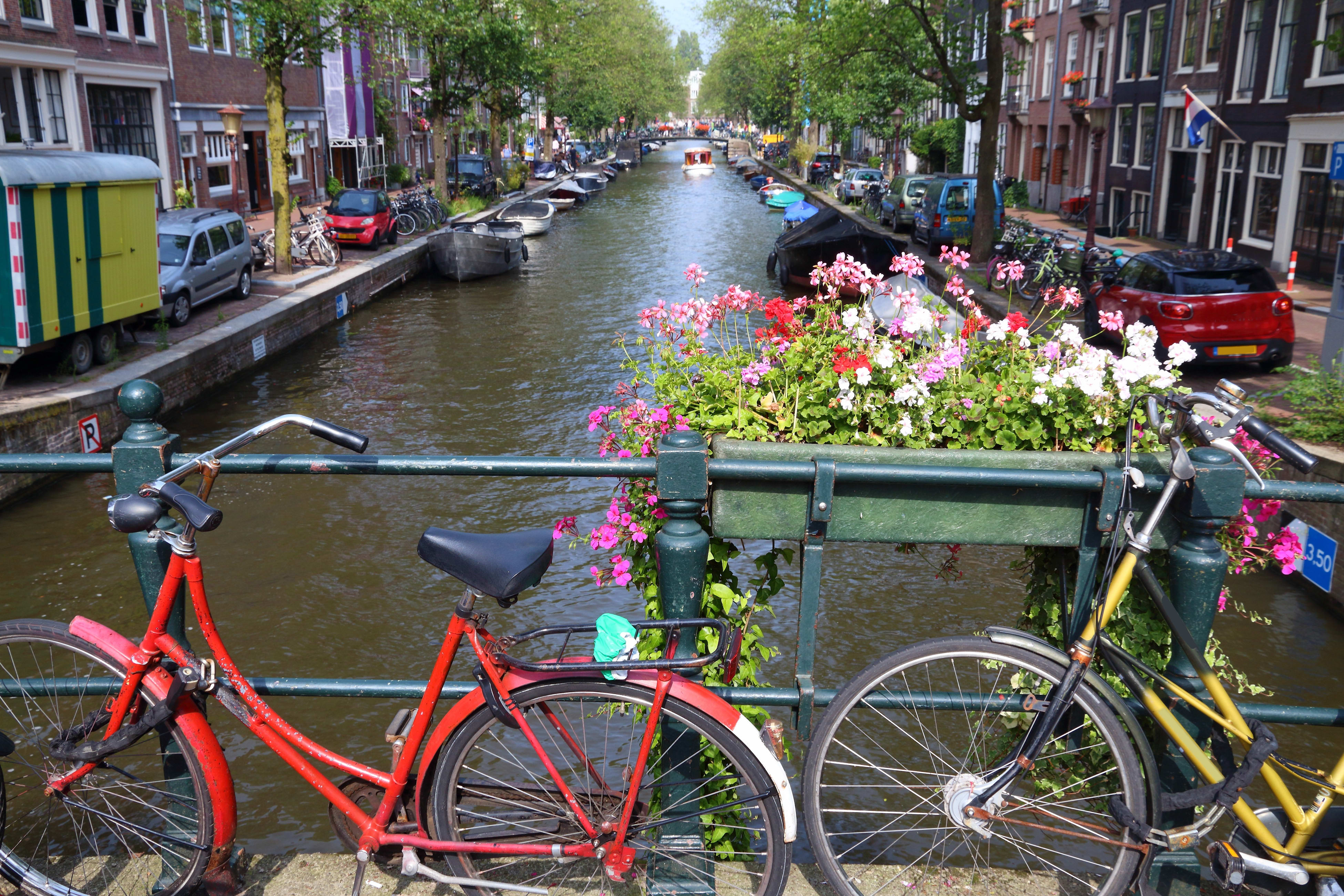 Image of Canal, Outdoors, Water, Bicycle, Vehicle, Car, Boat, Neighborhood, Truck, Flower, Flower Arrangement, 