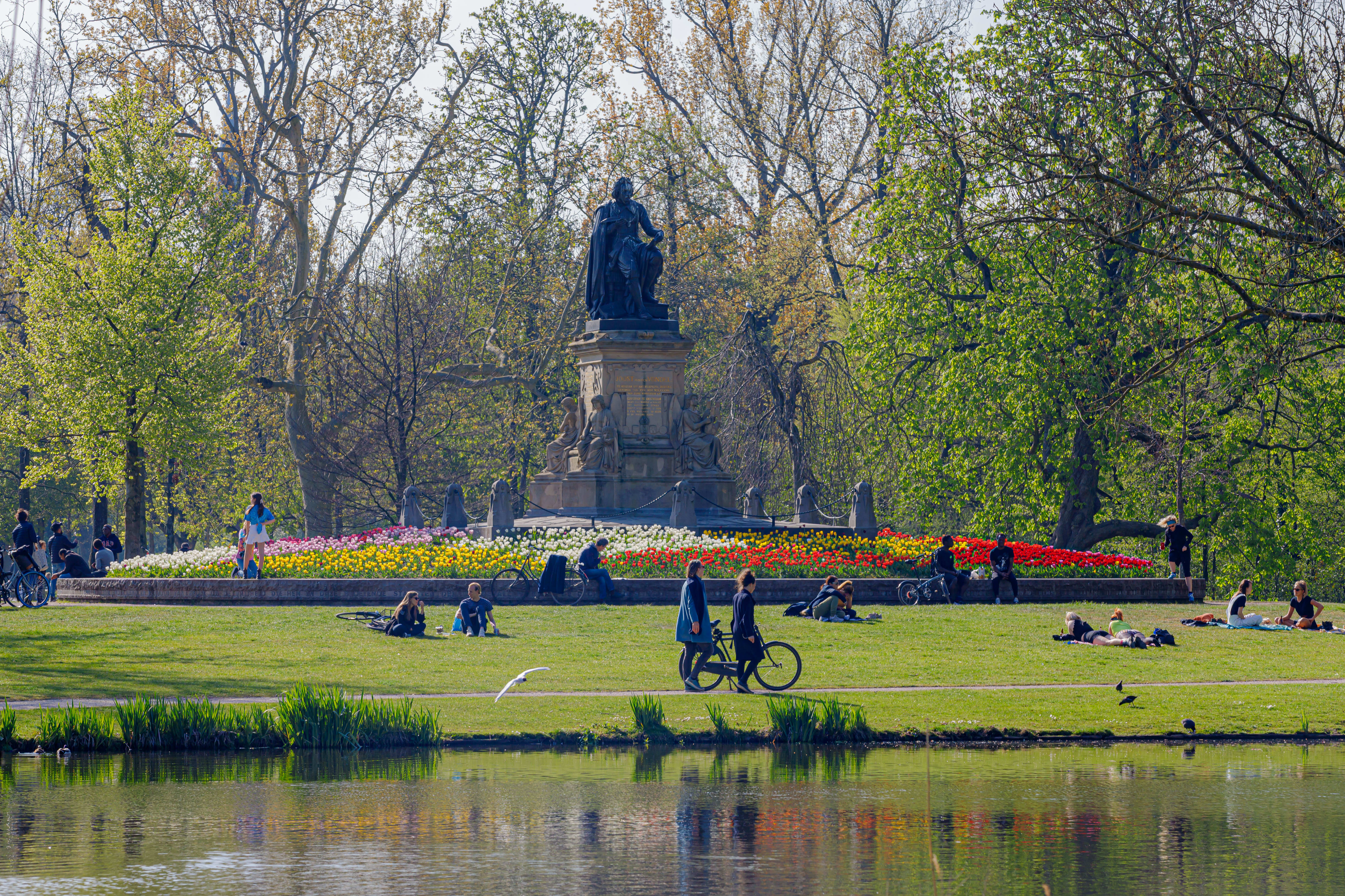 Image of Grass, Nature, Outdoors, Park, Person, Bicycle, Vehicle, Bird, 