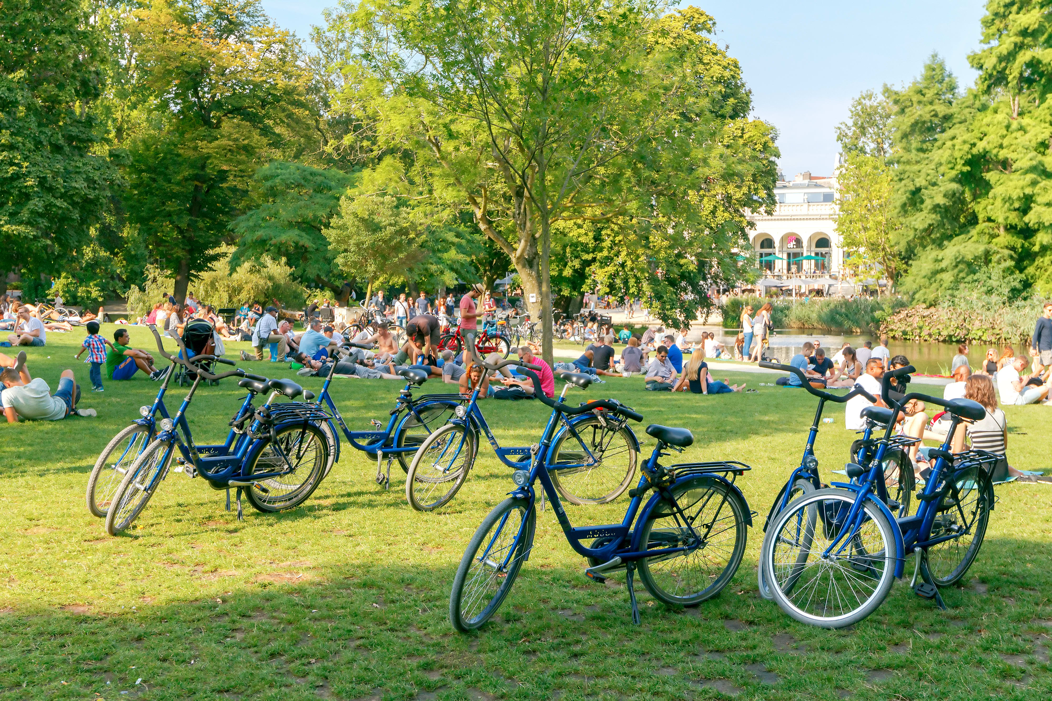 Image of Grass, Nature, Outdoors, Park, Bicycle, Vehicle, Person, People, 