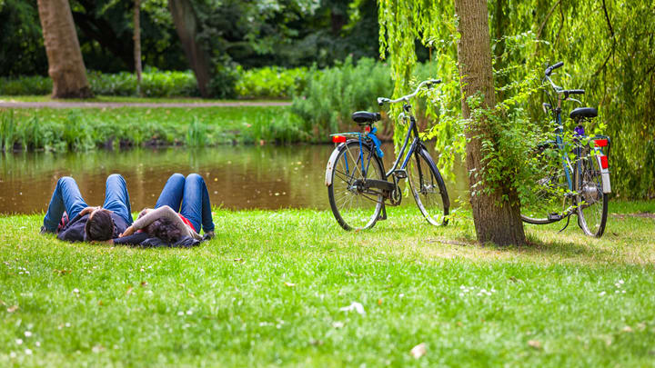 Image of Grass, Nature, Outdoors, Park, Bicycle, Vehicle, Adult, Male, Man, Person, 