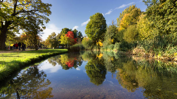 Image of Nature, Outdoors, Pond, Water, Canal, Grass, Park, Scenery, Person, Tree, Landscape, 