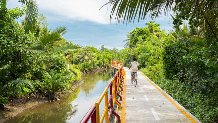 Image of Vegetation, Path, Person, Walking, Jungle, Nature, Outdoors, Scenery, People, Bicycle, Vehicle, 