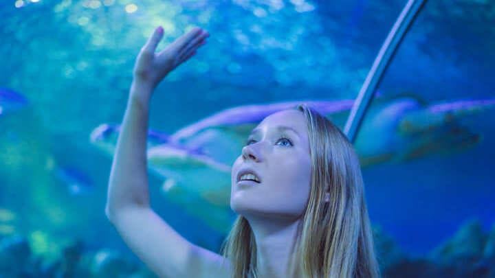 Image of Head, Person, Face, Blonde, Hair, Animal, Aquarium, Fish, Sea Life, Water, Aquatic, Female, Girl, Teen, 