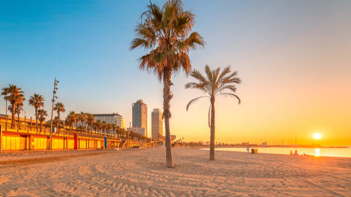 Image of Summer, Nature, Outdoors, Scenery, Sky, Palm Tree, Tree, Landscape, Panoramic, City, Tropical, Beach, Coast, Sea, Shoreline, Water, Waterfront, Cityscape, Urban,