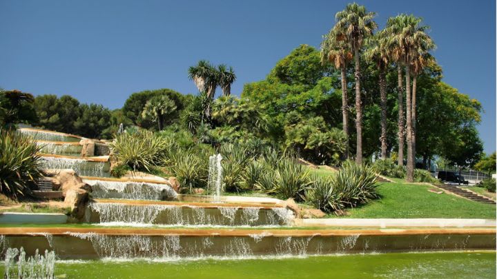 Image of Grass, Nature, Outdoors, Park, Fountain, Water, Vegetation, Summer, Garden, Tree, Pond,
