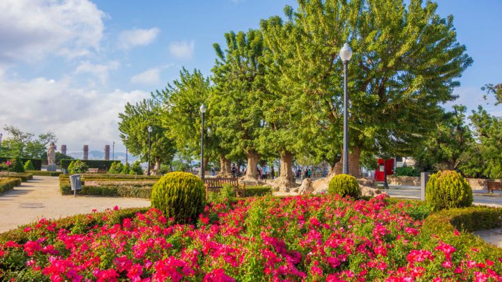 Image of Grass, Nature, Outdoors, Park, Garden, Vegetation, Scenery, Grove, Land, Tree, Woodland, City,