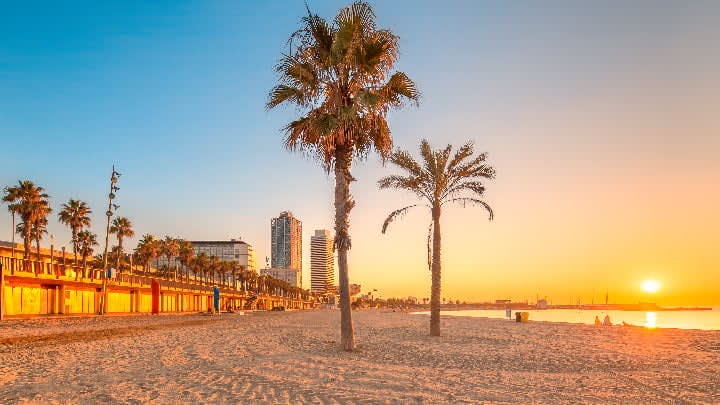 Image of Nature, Outdoors, Scenery, Landscape, Panoramic, City, Sky, Tree, Beach, Coast, Sea, Shoreline, Water, Palm Tree, Cityscape, Urban, Waterfront, 