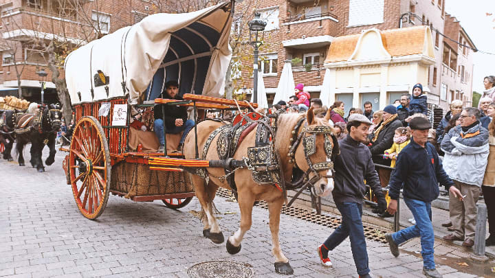 Image of Horse Cart, Vehicle, Wagon, Adult, Male, Man, Person, Boy, Child, Animal, Horse, Mammal, 