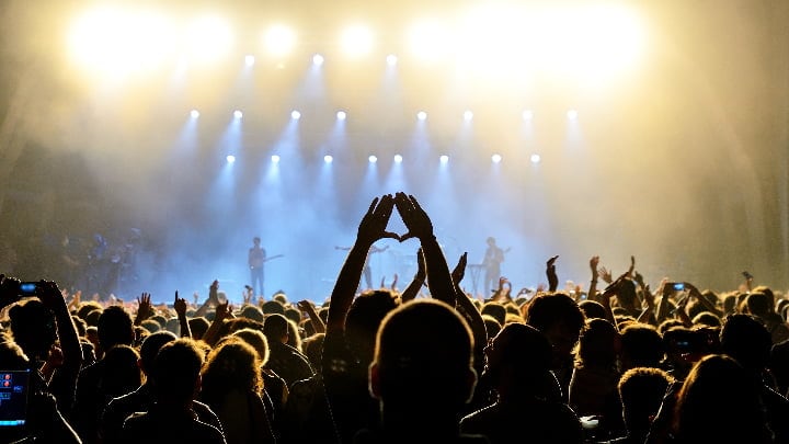 Image of Concert, Crowd, Person, Rock Concert, Adult, Female, Woman, Urban, 