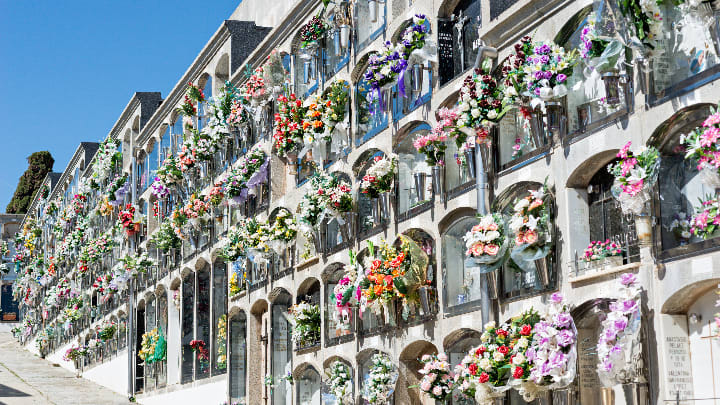 Image of Flower, Flower Arrangement, Plant, Flower Bouquet, City, Neighborhood, Urban, Road, Street, 