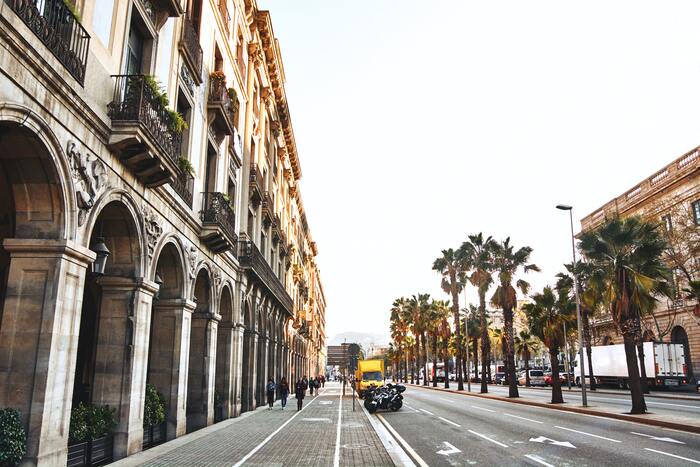 Image of City, Road, Street, Urban, Cityscape, Arch, Plant, Tree,