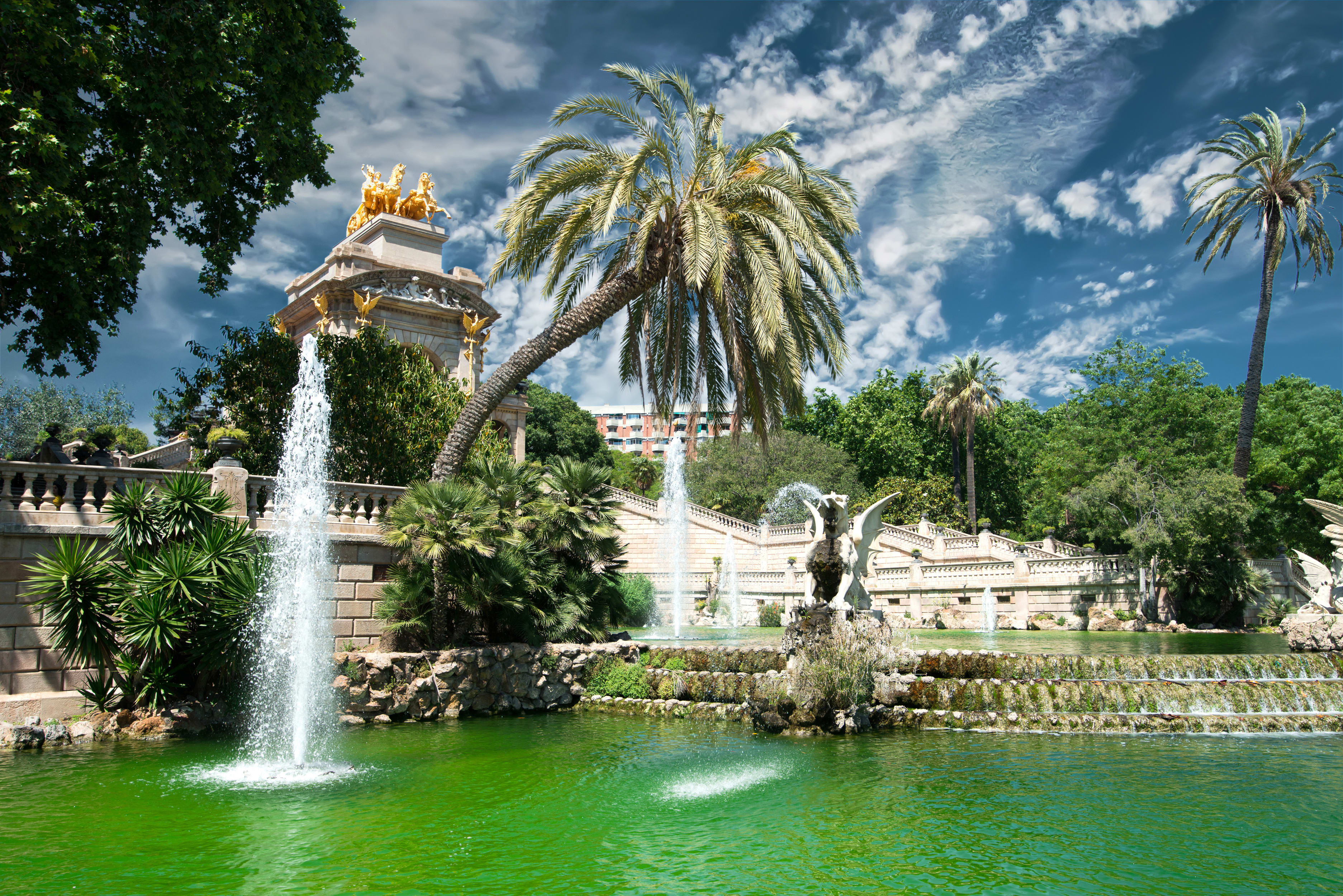 Image of Fountain, Water, Summer, Tree,