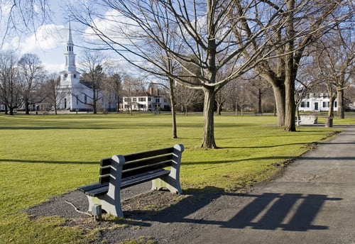 Image of Bench, Furniture, Grass, Nature, Outdoors, Park,