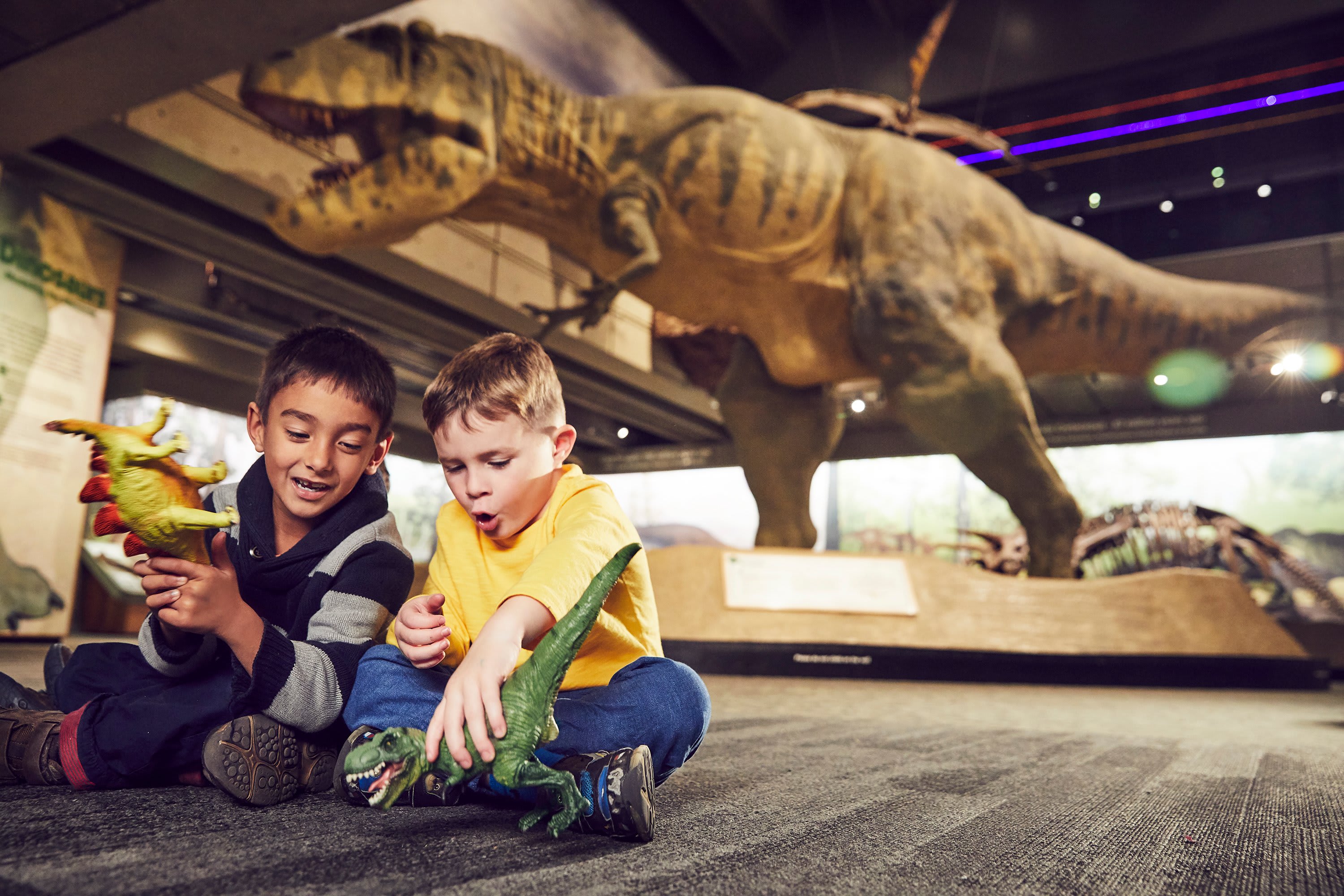 Image of Pants, Boy, Child, Male, Person, Animal, Dinosaur, Face, Head, Photography, Portrait, 