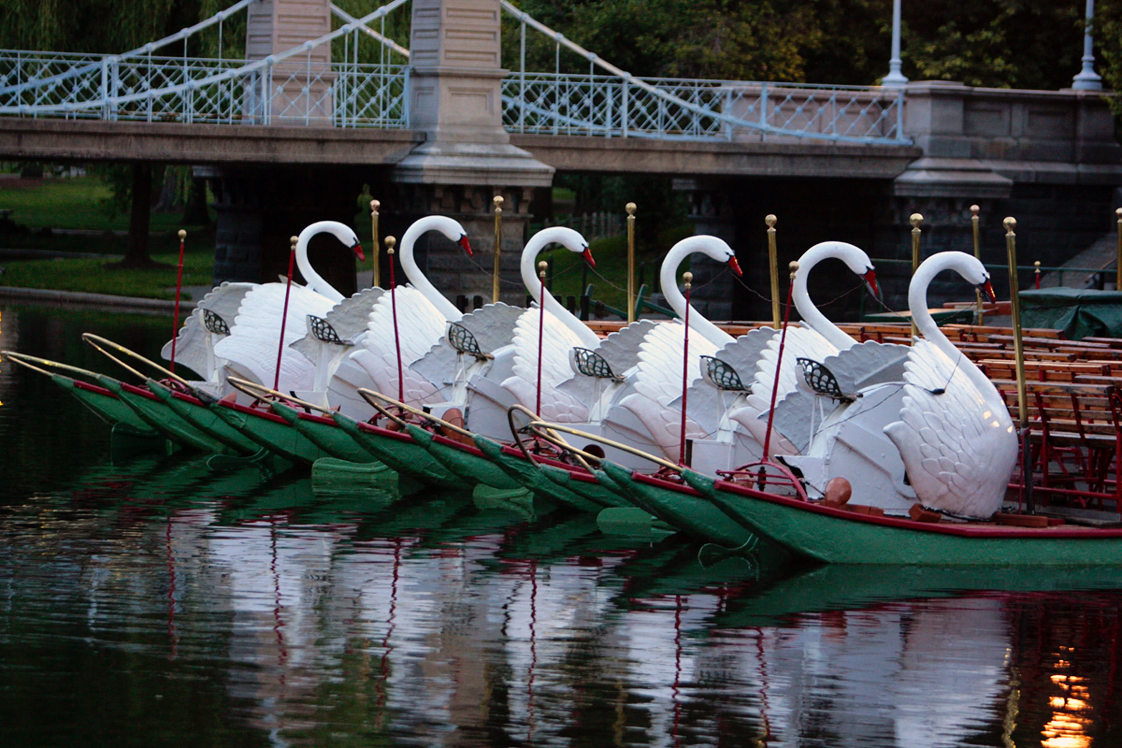 Image of Animal, Bird, Boat, Vehicle, 