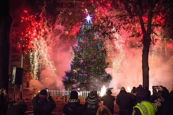 Image of Speaker, Adult, Female, Person, Woman, Hat, Male, Man, Christmas, Christmas Decorations, Festival, Christmas Tree, 