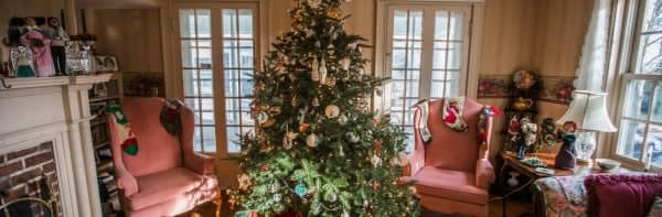 Image of Lamp, Chair, Furniture, Christmas, Christmas Decorations, Festival, Christmas Tree, Desk, Person, 