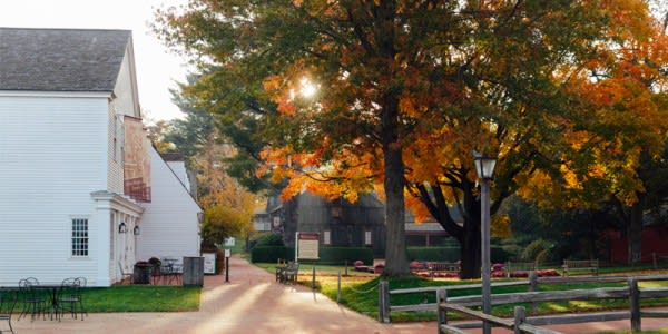 Image of Neighborhood, City, Road, Street, Urban, Grass, Plant, Bench, Nature, Outdoors, Scenery, Chair, Tree, Autumn, 