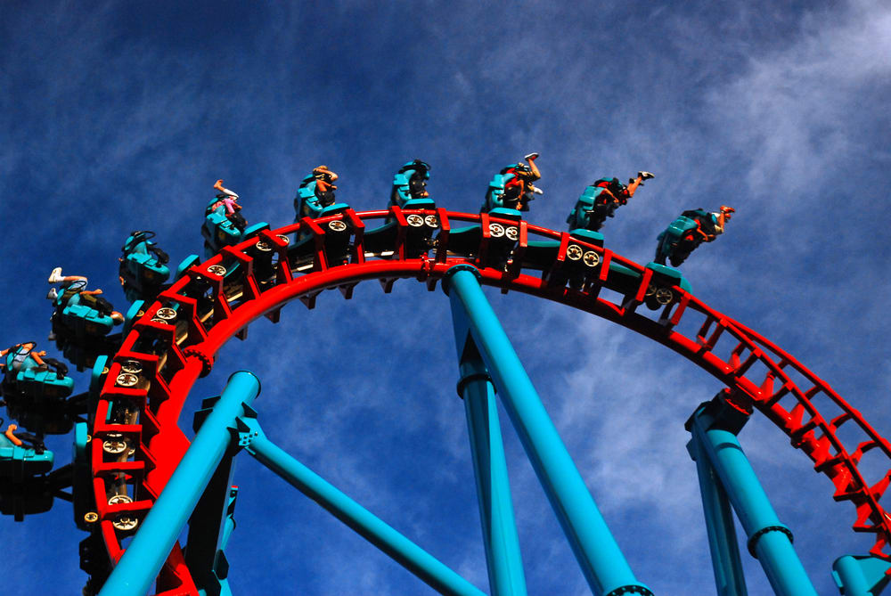 Image of Amusement Park, Fun, Roller Coaster, Person, Adult, Male, Man, 