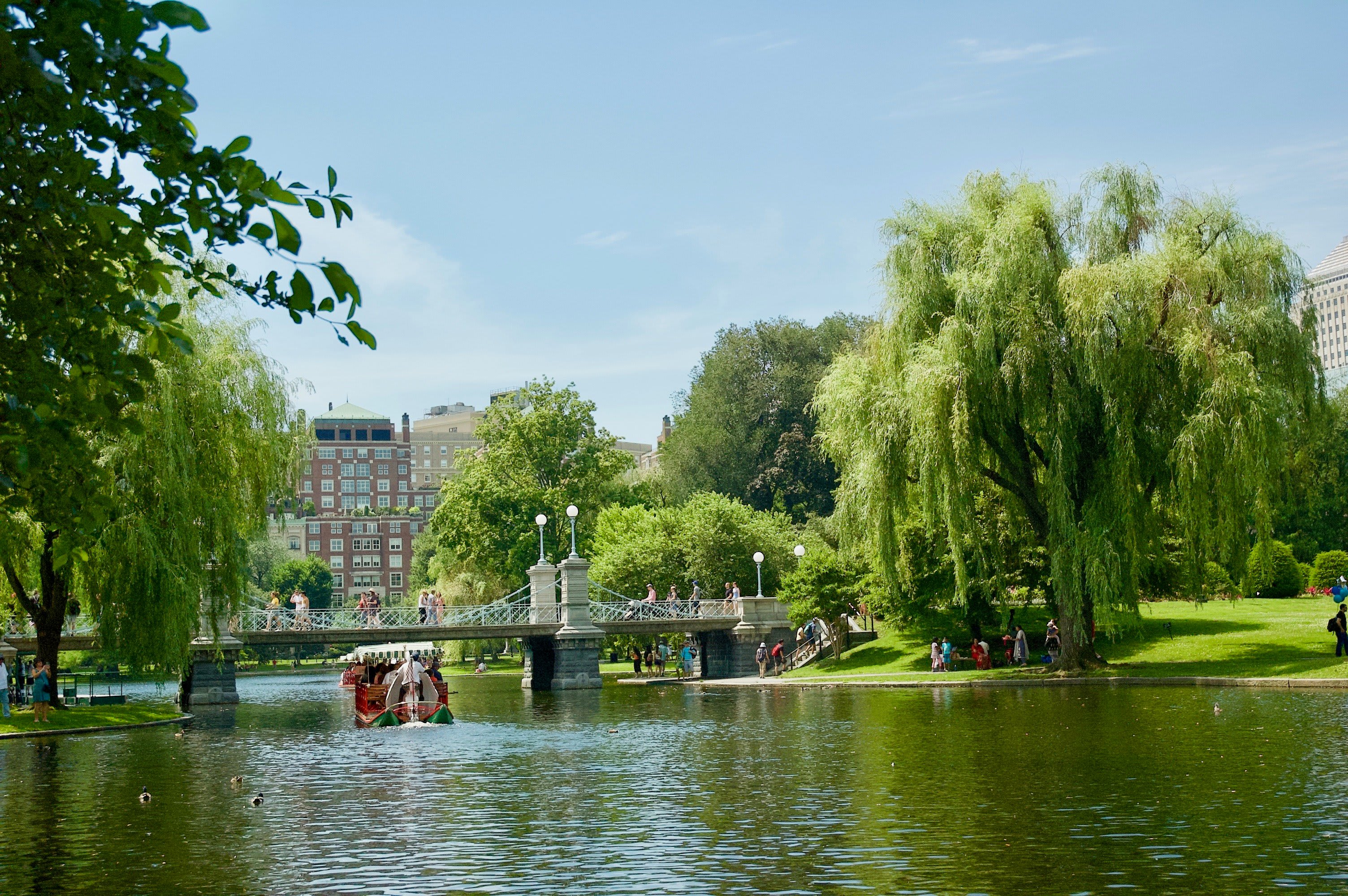 Image of Nature, Outdoors, Scenery, Tree, Grass, Park, Pond, Water, Person, Boat, Vegetation, Waterfront, 