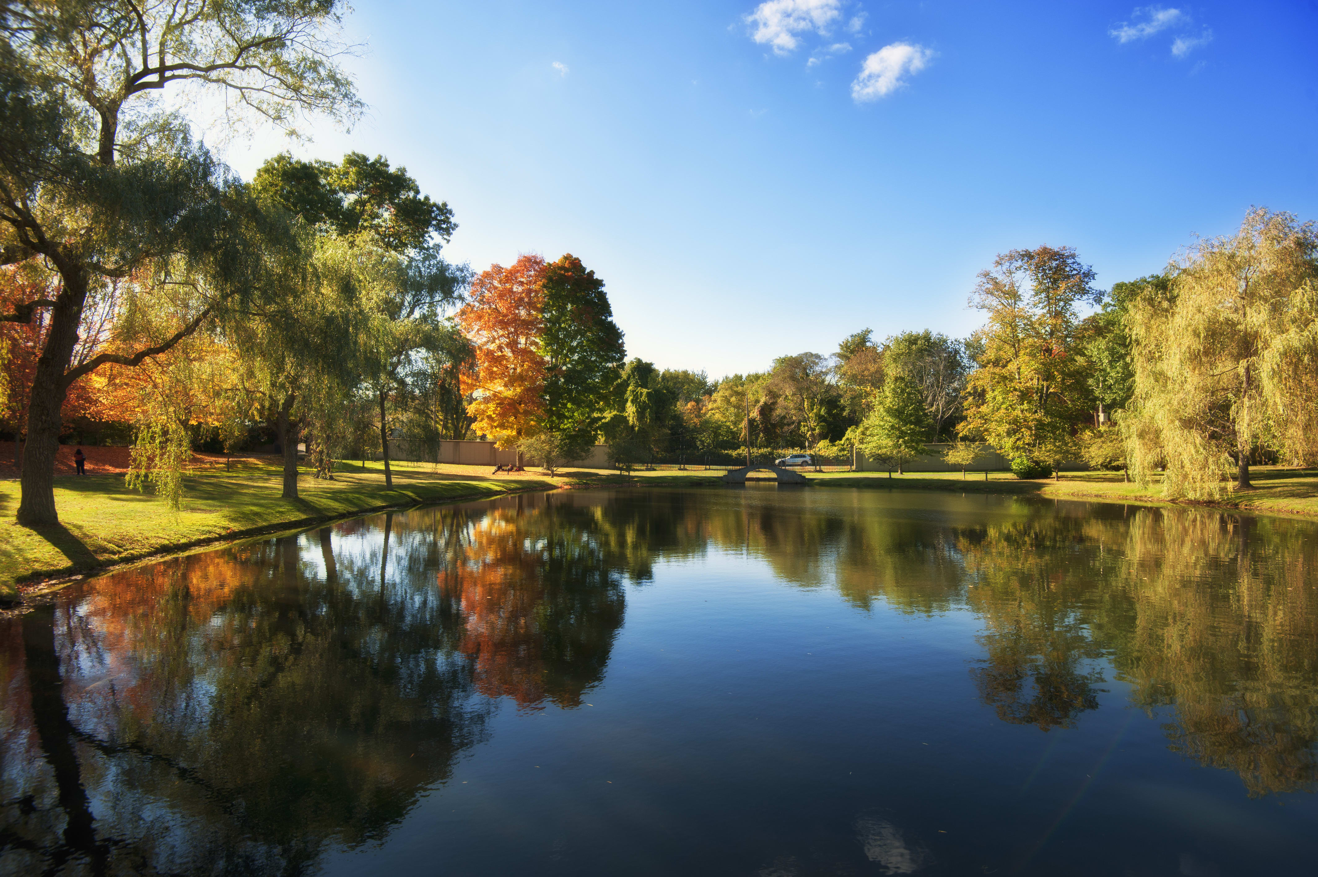 Image of Nature, Outdoors, Pond, Water, Scenery, Lake, Tree, Person, Landscape, 