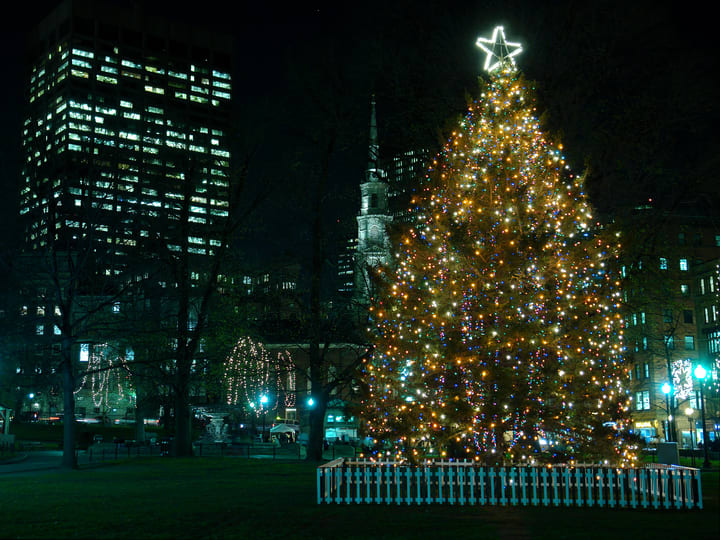 Image of Christmas, Christmas Decorations, Festival, Christmas Tree,