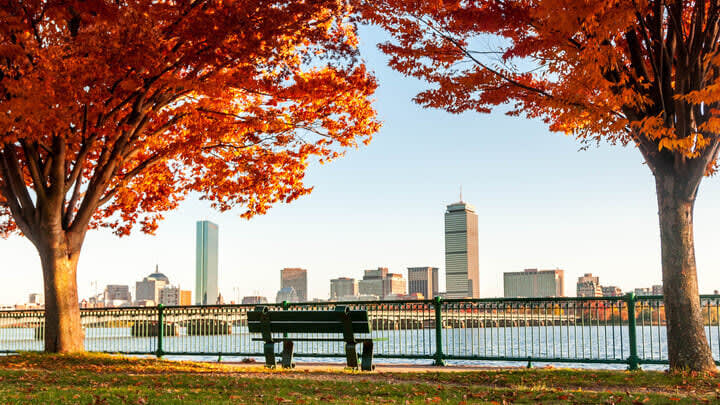 Image of Bench, Furniture, Nature, Outdoors, Scenery, Autumn, 