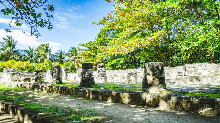 Image of Graveyard, Outdoors, Vegetation, 