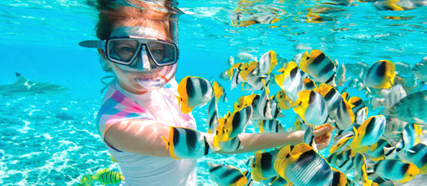 Image of Nature, Outdoors, Water, Underwater, Adult, Female, Person, Woman, Swimming, Water Sports, Animal, Fish, Sea Life, Shark, Snorkeling, 