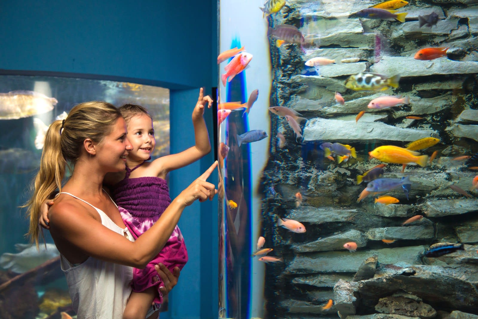 Image of Aquatic, Water, Animal, Aquarium, Fish, Sea Life, Adult, Female, Person, Woman, Face, Head, Photography, Portrait, 