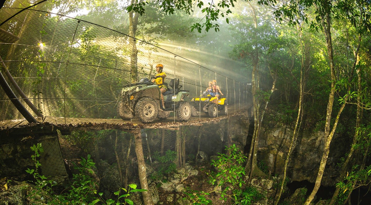 Image of Jungle, Nature, Outdoors, Vegetation, Land, Rainforest, Tree, Helmet, Person, Woodland, 
