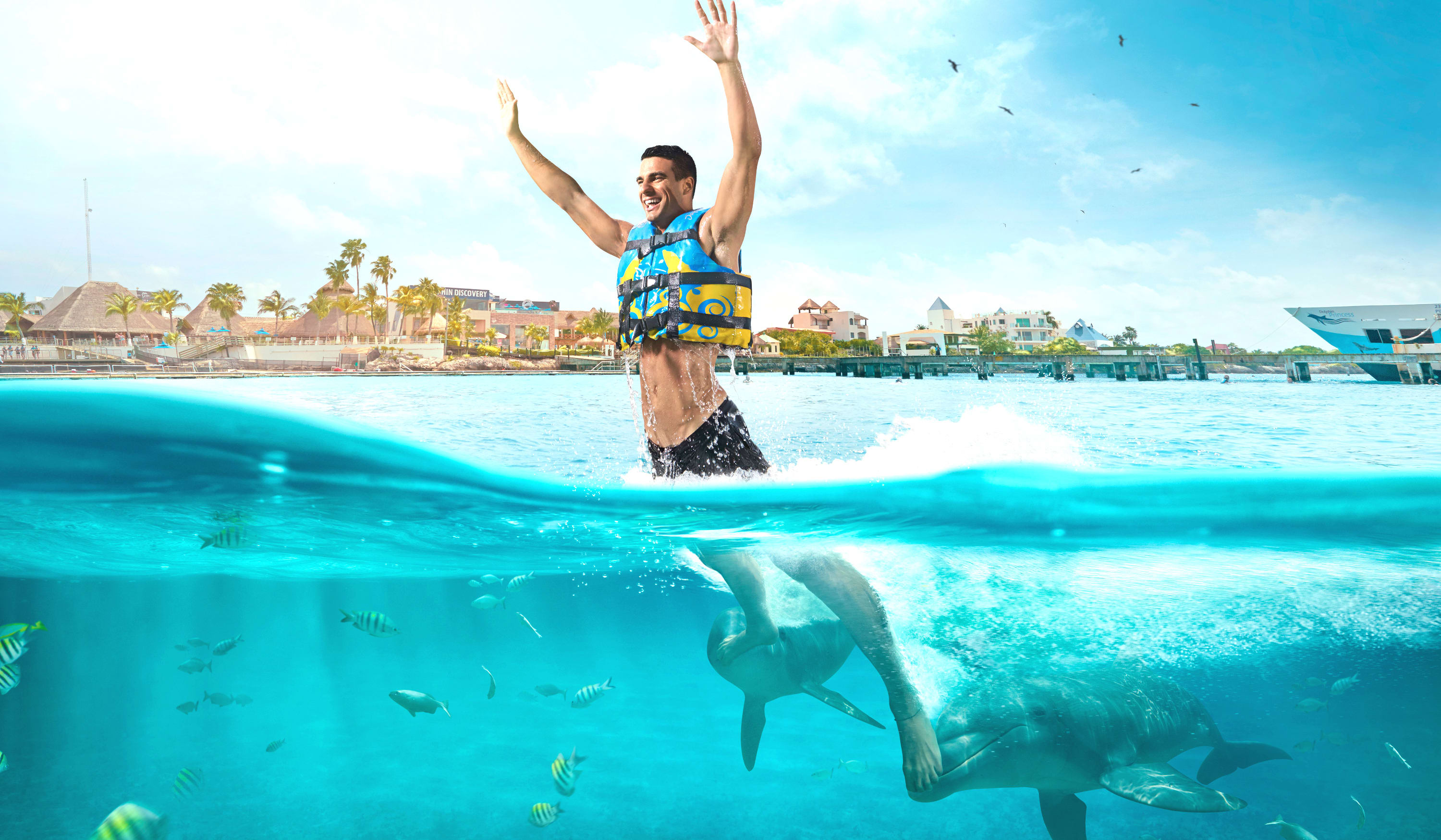 Image of Person, Swimming, Water, Water Sports, Lifejacket, Vest, Summer, Swimwear, Face, Head, Photography, Portrait, Adult, Male, Man, Boat, Animal, Dolphin, Mammal, Sea Life, Nature, Outdoors, Sea, 